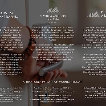Platinum Mountain Hotel&Spa Szklarska Poręba Exterior foto Brochure