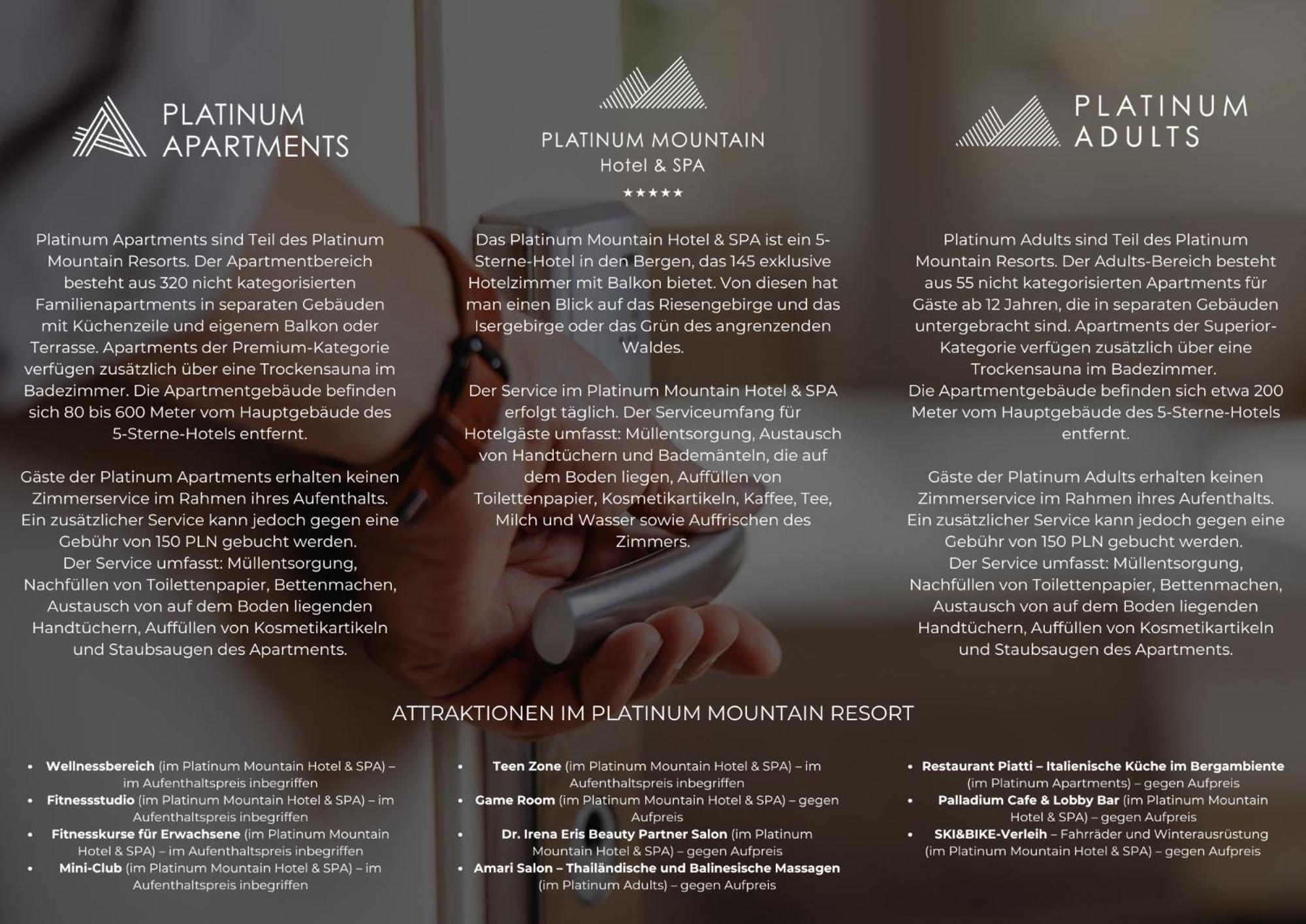 Platinum Mountain Hotel&Spa Szklarska Poręba Exterior foto Brochure